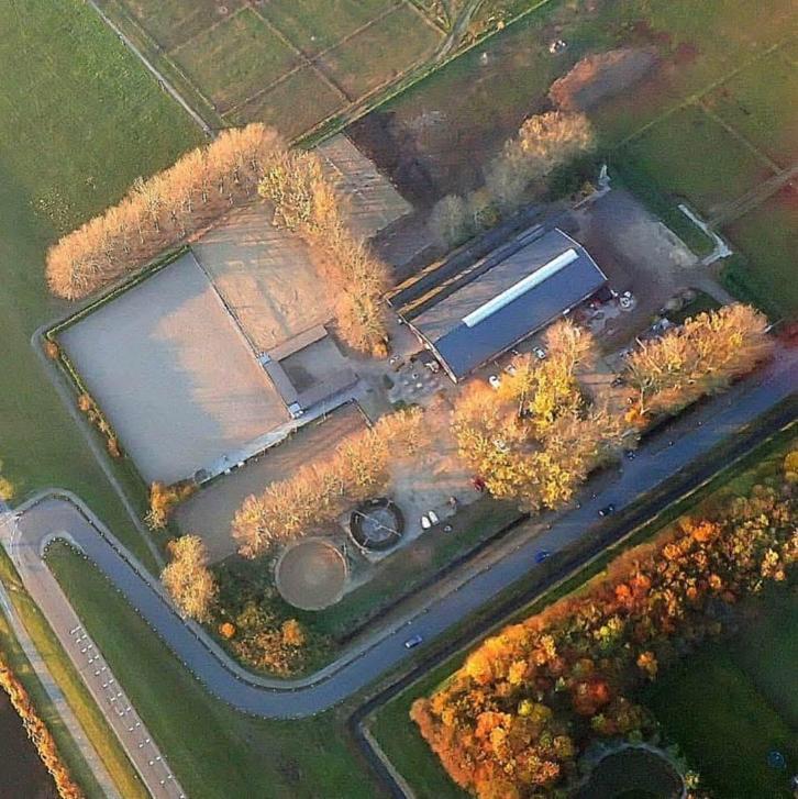 Pension stalling, aan het bos gelegen, Dieren en Toebehoren, Stalling en Weidegang