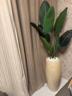 ikea pot met plant, Huis en Inrichting, Woonaccessoires | Kunstplanten en Kunstbloemen, Ophalen of Verzenden, Zo goed als nieuw