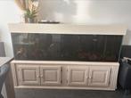 Aquarium 206x64x125, Dieren en Toebehoren, Ophalen, Gebruikt, Plant(en), Steen of Hout