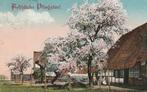 Ansichtkaart van Fröliche Pfingsten, Verzamelen, Ophalen of Verzenden, Voor 1920, Ongelopen, Duitsland