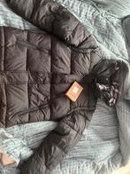 Burberry puffer, Ophalen of Verzenden