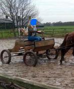 Menkar voor 1 pony/paard, Dieren en Toebehoren, Rijtuigen en Koetsen, Gebruikt, Overige typen, Pony