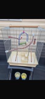 Nog mooie vogelkooi, Dieren en Toebehoren, Ophalen, Gebruikt, Vogelkooi
