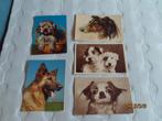 5 oude ansichtkaarten met hond, Ophalen of Verzenden, 1960 tot 1980, Ongelopen, Hond of Kat