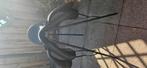 Wintec 500 dressuur hart 17,5 inch (incl extra's), Dieren en Toebehoren, Paarden en Pony's | Zadels, Ophalen, Zo goed als nieuw