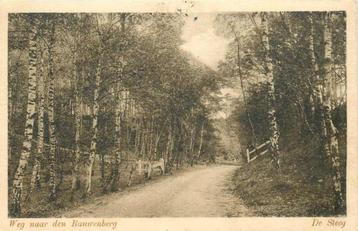 (377-382-027) De Steeg Weg naar den Rauwenberg beschikbaar voor biedingen