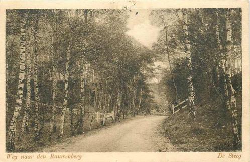 (377-382-027) De Steeg Weg naar den Rauwenberg, Verzamelen, Ansichtkaarten | Nederland, Gelderland, Verzenden