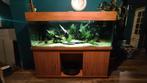 Groot Veldhuis Aquarium, compleet, meer dan 600 liter., Dieren en Toebehoren, Ophalen, Gebruikt, Leeg aquarium