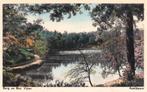 03220 Apeldoorn - Berg en Bos vijver - gel. 1955, Verzenden, 1940 tot 1960, Gelopen, Gelderland