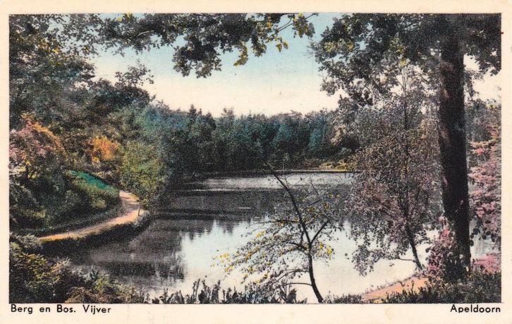 03220 Apeldoorn - Berg en Bos vijver - gel. 1955, Verzamelen, Ansichtkaarten | Nederland, Gelopen, Gelderland, 1940 tot 1960, Verzenden
