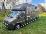 Paardenwagen Fiat Ducato Maxi, Ophalen, Gebruikt, Overige materialen, Overige typen