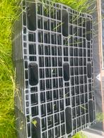 20 kunststof pallets 120x80, Doe-het-zelf en Verbouw, Kratten en Dozen, Ophalen, 100 cm of meer, 60 cm of meer, Overige typen