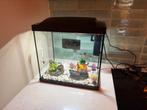 Superfish Aquarium Start 30 Tropical Kit Retro Led 27 l, Dieren en Toebehoren, Vissen | Aquaria en Toebehoren, Ophalen, Zo goed als nieuw