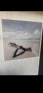 mooie FOTOPRINT OP GLASPLAAT, Ophalen, Minder dan 50 cm, Zo goed als nieuw, Foto of Poster