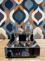 Audion Silvernight Triode B300-N, geheel gereviseerd, Audio, Tv en Foto, Buizenversterkers, Ophalen, Versterker