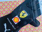 Carlos Sainz Ferrari handschoen met handtekening., Verzamelen, Ophalen of Verzenden, Zo goed als nieuw