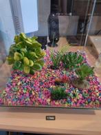 Aquarium grind en kunst plantjes (ZGAN), Ophalen of Verzenden, Zo goed als nieuw