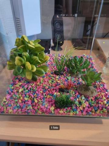 Aquarium grind en kunst plantjes (ZGAN) beschikbaar voor biedingen
