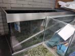 Eheim Proxima 325 wit, Ophalen, Gebruikt, Leeg aquarium