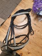 Hoofdstel maat shet, Dieren en Toebehoren, Paarden en Pony's | Hoofdstellen en Tuigage, Ophalen of Verzenden, Zo goed als nieuw