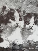 Prent 2 jonge katjes kittens in een mand, Verzenden