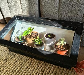 Houten kweekbak by Loods 5  beschikbaar voor biedingen
