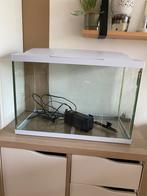Superfish aquarium 58x30x45 -70 liter, Dieren en Toebehoren, Vissen | Aquaria en Toebehoren, Ophalen, Zo goed als nieuw, Leeg aquarium
