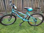 Mountainbike 24 inch, Fietsen en Brommers, Ophalen, Gebruikt, Staal, 24 inch of meer