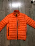 Parajumpers Winterjas Oranje Maat XL, Ophalen of Verzenden, Gedragen, Overige maten, Oranje