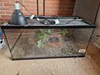 Terrarium 100x40x30cm, Dieren en Toebehoren, Reptielen en Amfibieën | Toebehoren, Ophalen, Gebruikt, Terrarium of Paludarium
