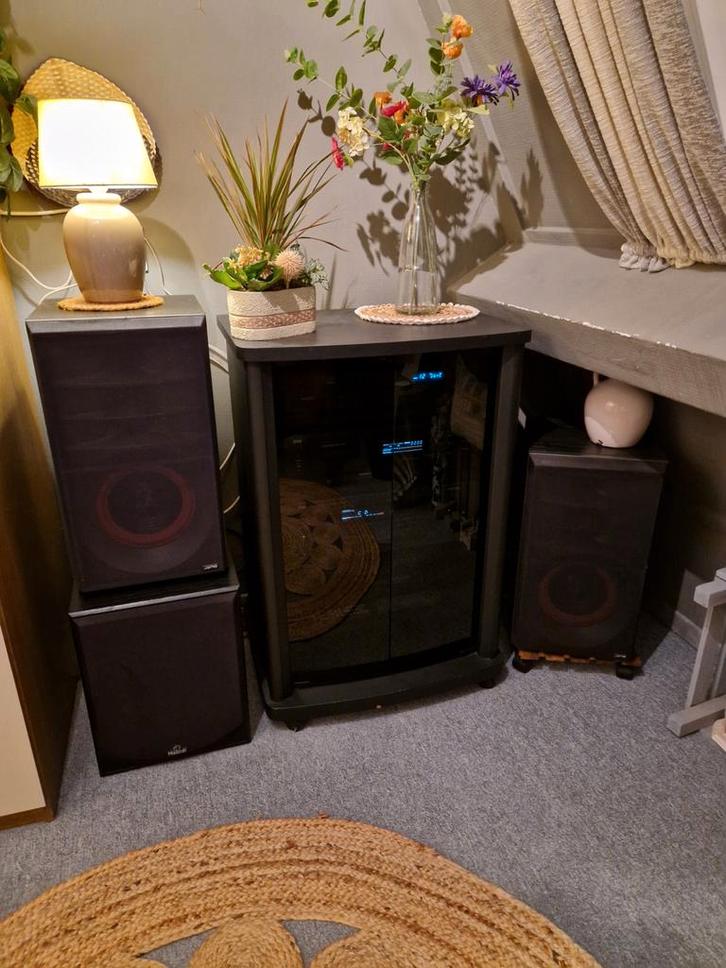 NAD SET INC., Audio, Tv en Foto, Luidsprekers, Subwoofer, 120 watt of meer, Philips, Ophalen