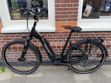 -- VERKOCHT--   Victoria Tresalo 3 | 51 cm | 500 watt | Bosc beschikbaar voor biedingen
