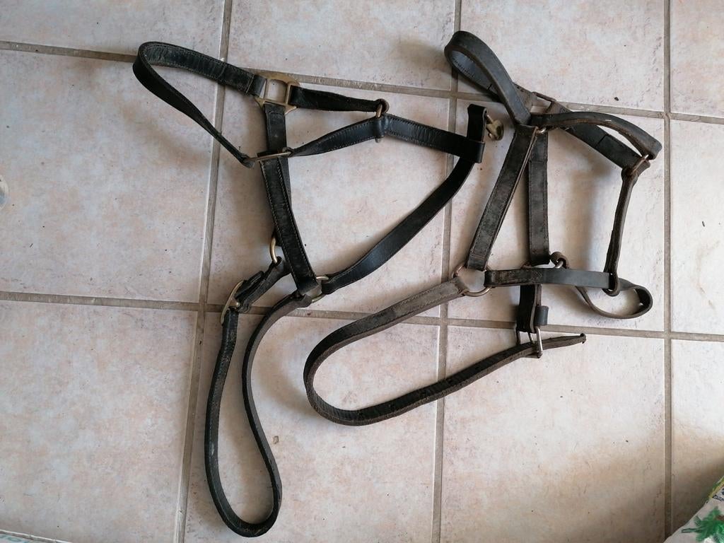 2x leer halster, Dieren en Toebehoren, Ophalen of Verzenden, Overige soorten