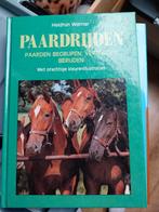 Paardrijden - Heidrun Werner, Gelezen, Ophalen of Verzenden, Heidrun Werner, Overige onderwerpen