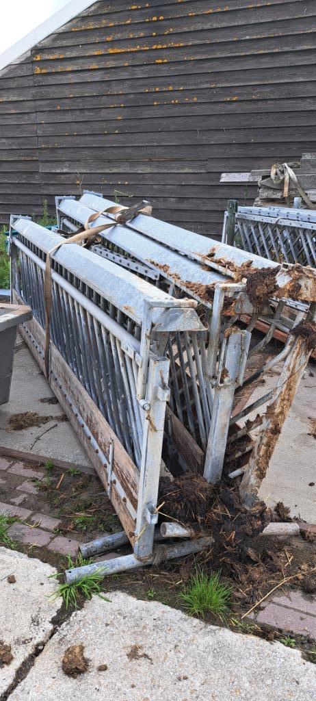 Te koop: diverse zelfsluitende voerhekken voor schapen, Dieren en Toebehoren, Schapen, Geiten en Varkens, Schaap, Vrouwelijk
