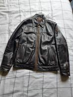 Heren klassieke leren jas Pall Mall, Bruin, Maat 48/50 (M), Ophalen of Verzenden, Pme Legend