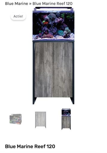 Bleu marine 120 zee aquarium compleet beschikbaar voor biedingen