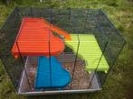 Kooi voor rat muis cavia hamster vogel 57x57x37, Kooi, Minder dan 75 cm, Cavia, Minder dan 60 cm