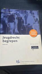 Lydia Janssen - Jeugdrecht begrepen, Sociale wetenschap, Ophalen of Verzenden, Zo goed als nieuw, Lydia Janssen