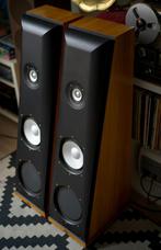 Thiel CS 2.3 Coherent Source, Gebruikt, 120 watt of meer, Front, Rear of Stereo speakers, Ophalen