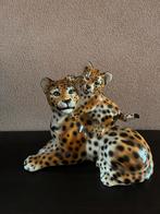 Mooie panter met jong,Z.G.A.N. 33x28 cm, Verzamelen, Ophalen, Zo goed als nieuw, Dier