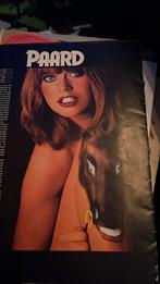 Panorama kalender uit 1979, Verzamelen, Ophalen of Verzenden, 1960 tot 1980, Tijdschrift