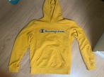 Hoody trui champion maat s, Gebruikt, Jongen of Meisje, Trui of Vest, Ophalen of Verzenden