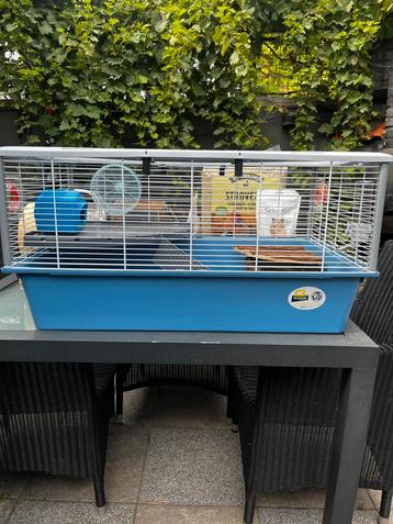 Complete Hamster Starter Set – Cage, Accessories & Supplies beschikbaar voor biedingen