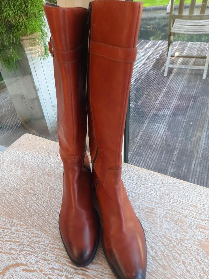 Prachtige laarzen PAOLA FERRI - 39, Kleding | Dames, Schoenen, Zo goed als nieuw, Hoge laarzen, Bruin, Ophalen of Verzenden