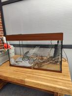 Aquarium juwel Rio 125 led, 110 cm of meer, Zo goed als nieuw, Hok, Ophalen