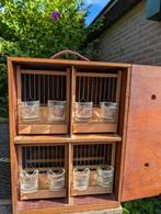 Zangkooitjes in 3 vervoerskisten / zangkisten, Dieren en Toebehoren, Ophalen, Gebruikt, Hout, Vogelkooi