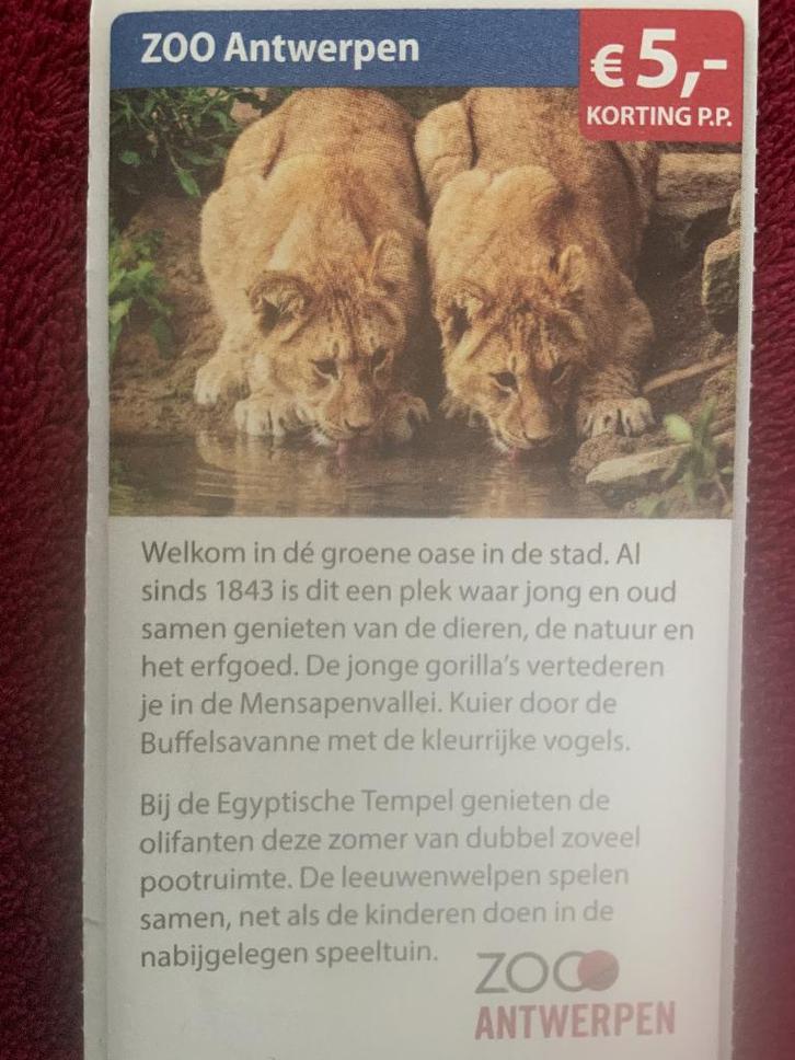 Zoo Antwerpen Dierentuin Voordeelbon, Tickets en Kaartjes, Recreatie | Dierentuinen, Drie personen of meer, Dierentuinbon