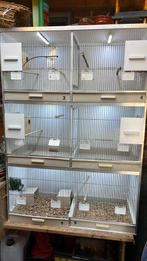 Prijsverlaging - Kweekstelling 6 secties, Ophalen, Gebruikt, Hout, Broedkooi of Kweekkooi