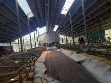 Bruland ligboxen beschikbaar voor biedingen
